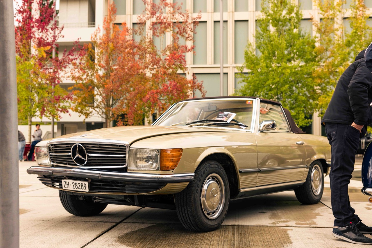 German Car Meeting 2025 58