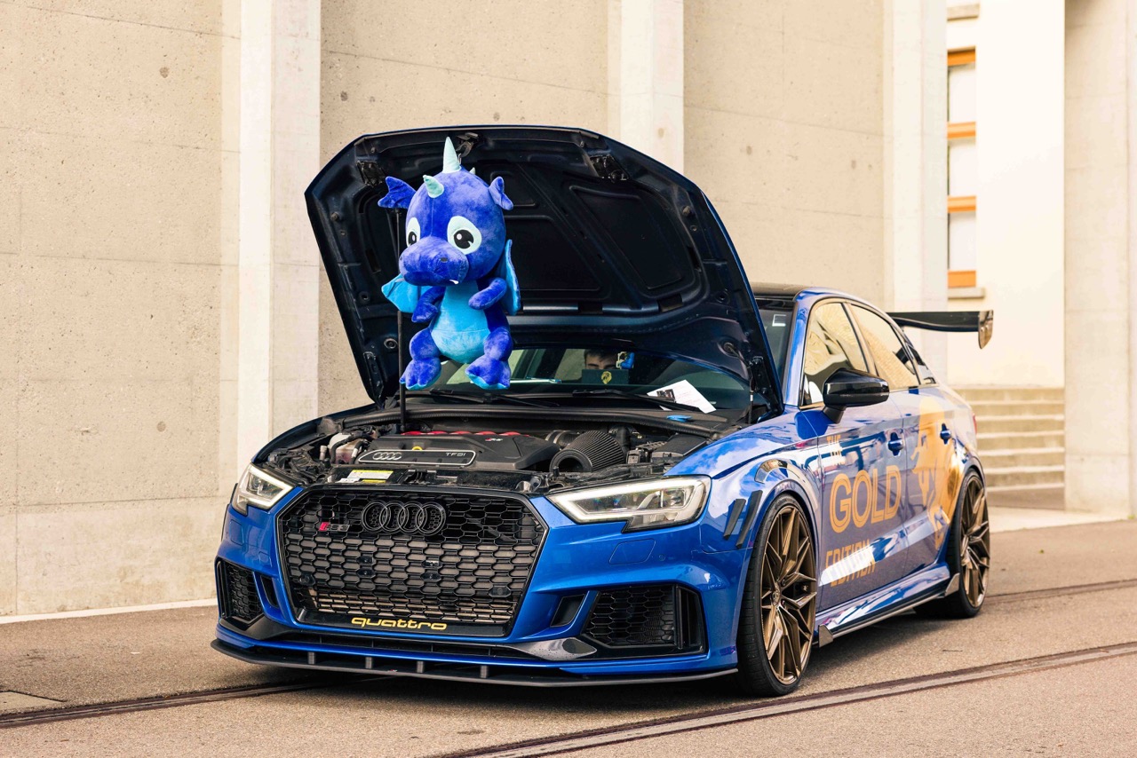 German Car Meeting 2025 80