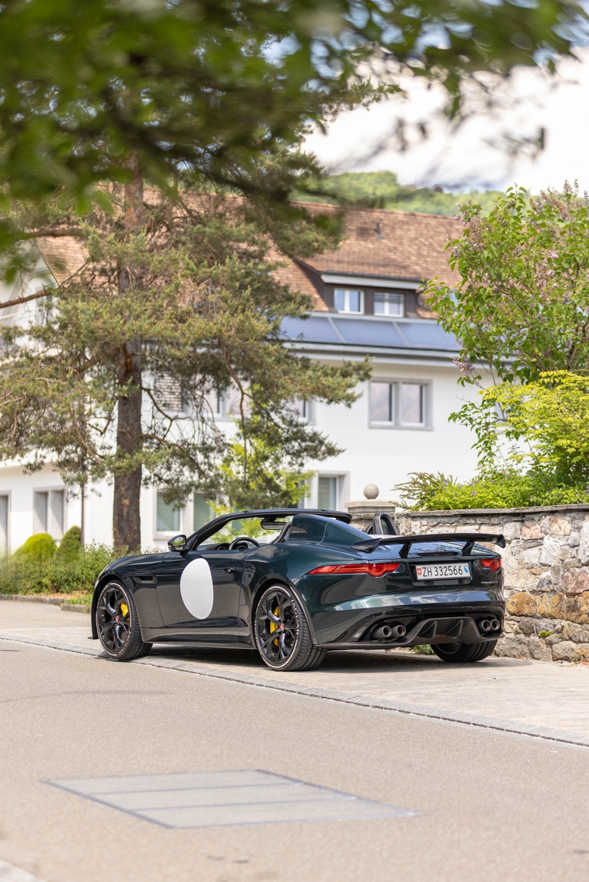 Jaguar Bild 1