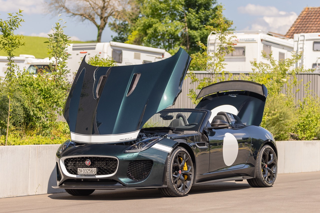 Jaguar Bild 12