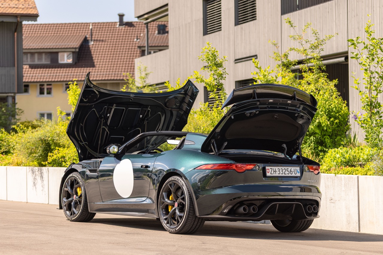 Jaguar Bild 13
