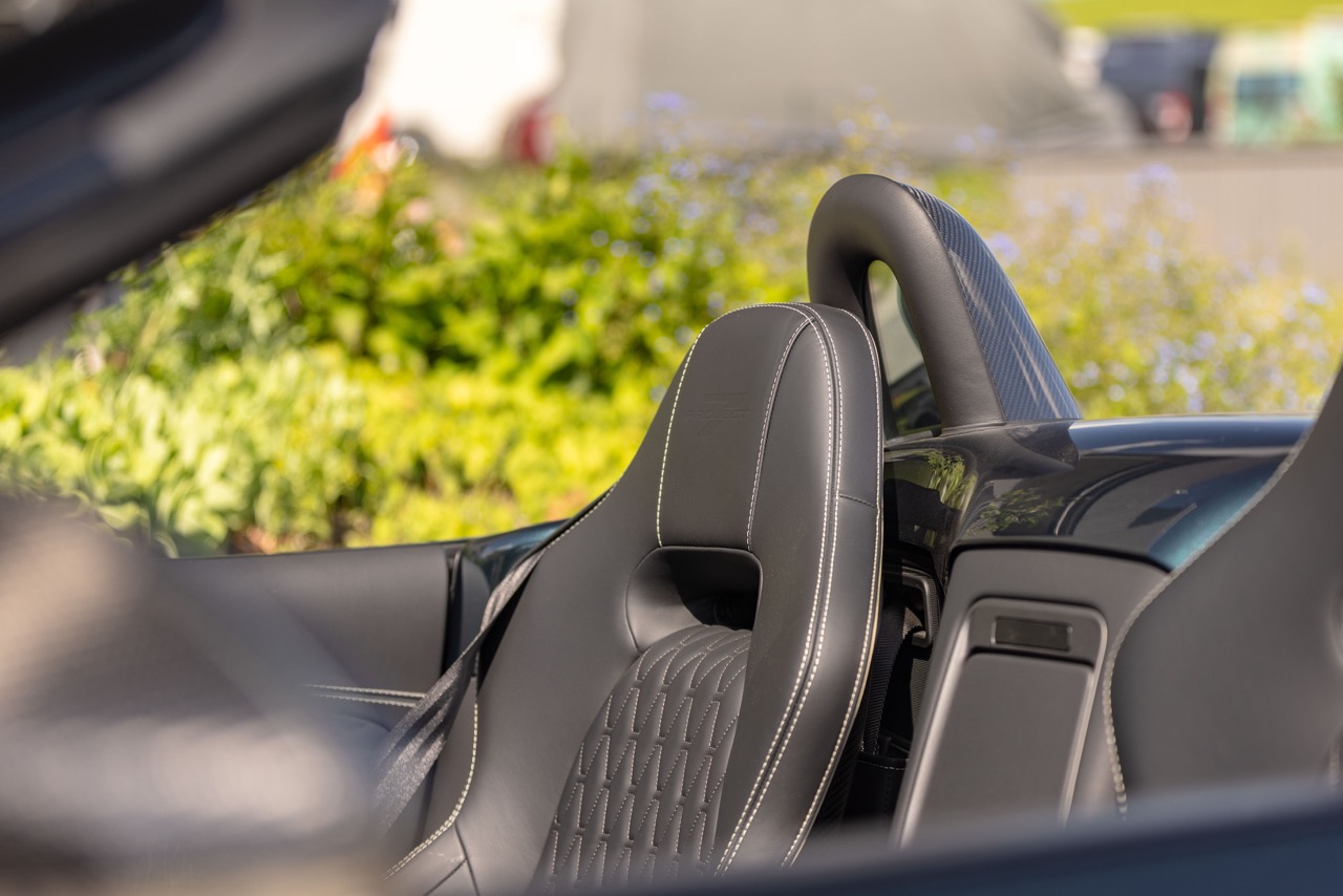 Jaguar Bild 14