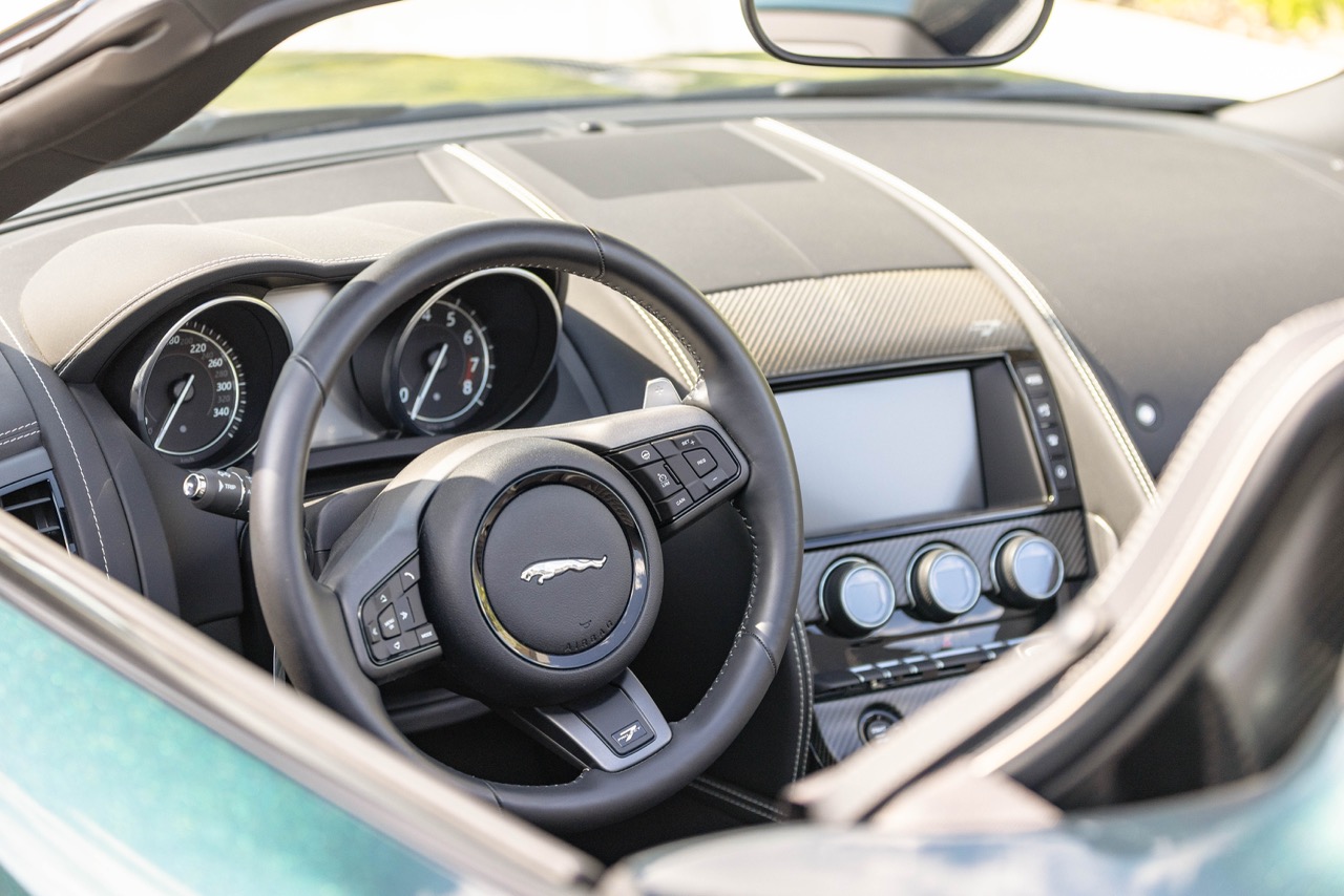 Jaguar Bild 16