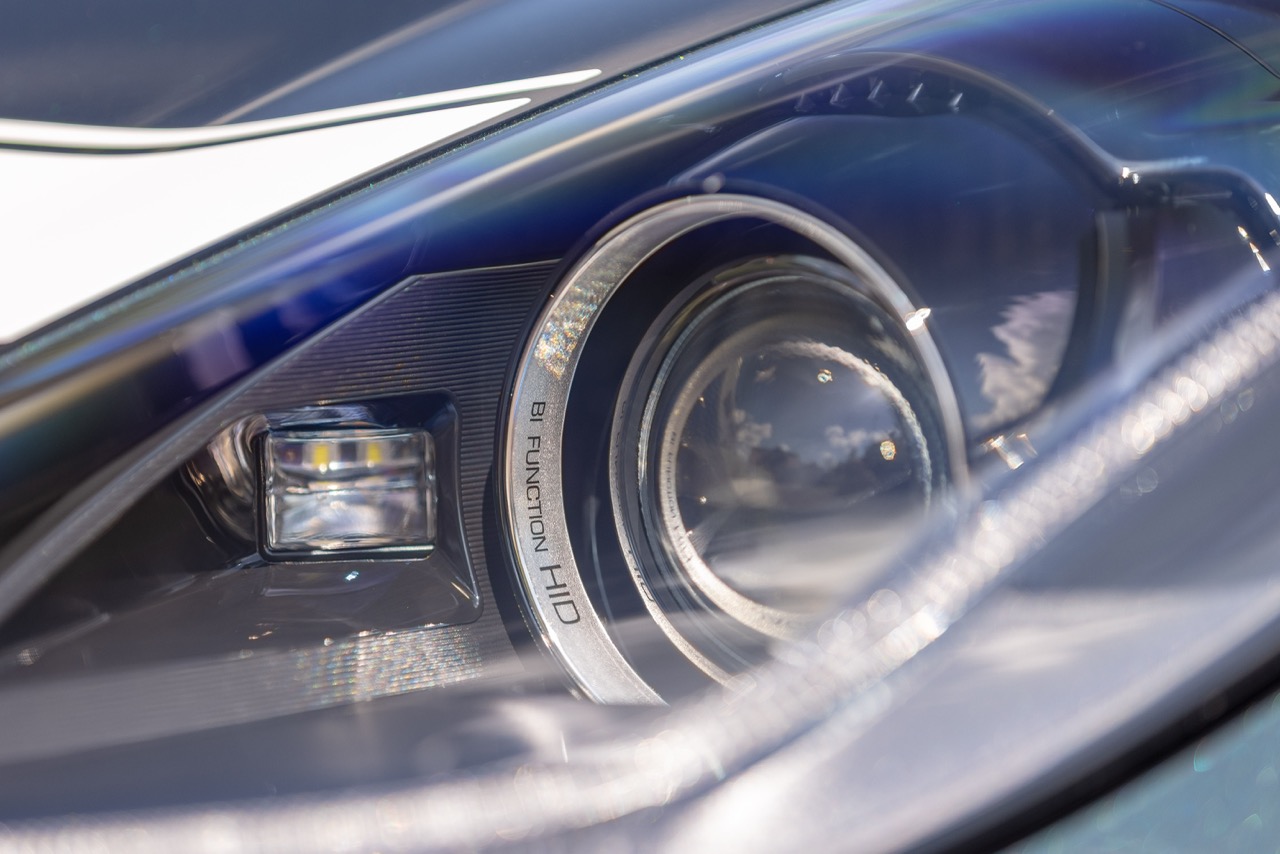 Jaguar Bild 18