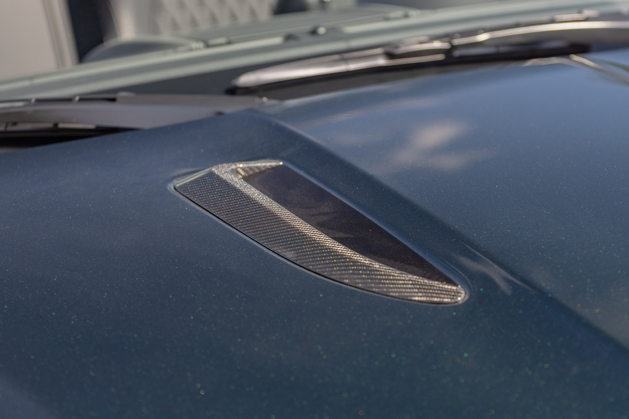 Jaguar Bild 19