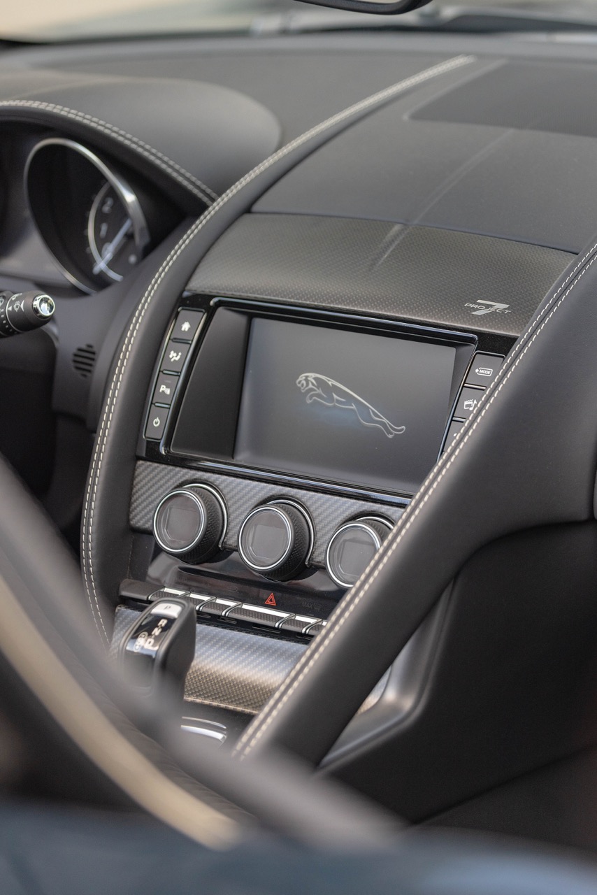 Jaguar Bild 2