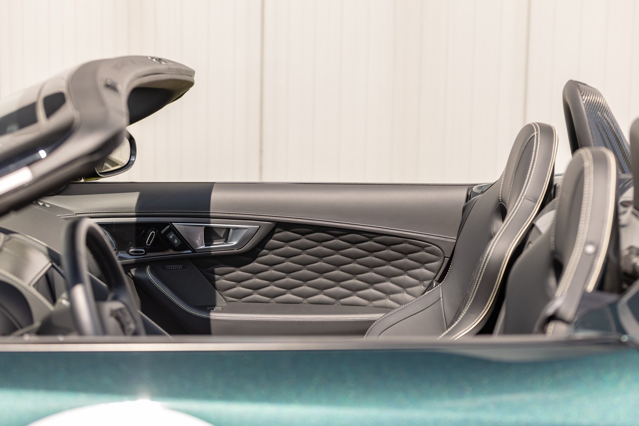 Jaguar Bild 5