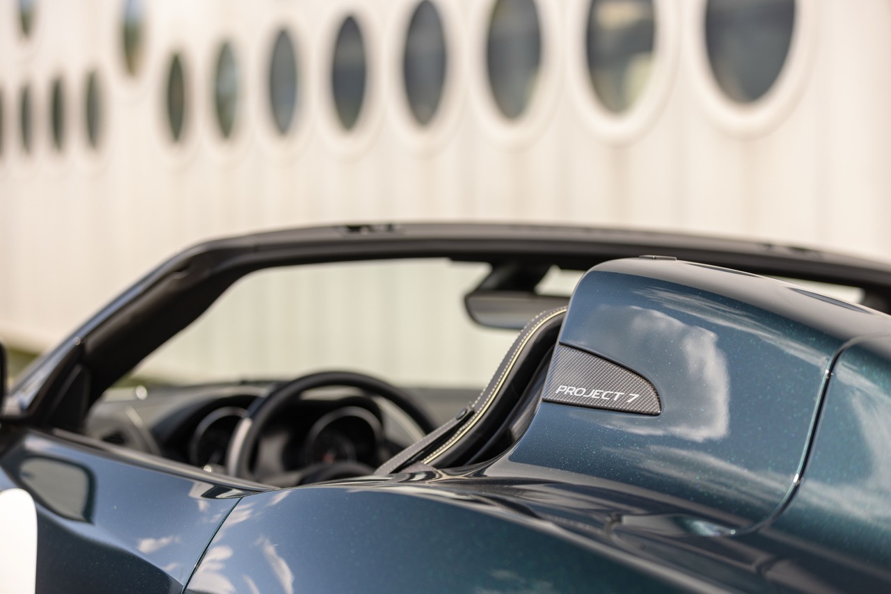 Jaguar Bild 6