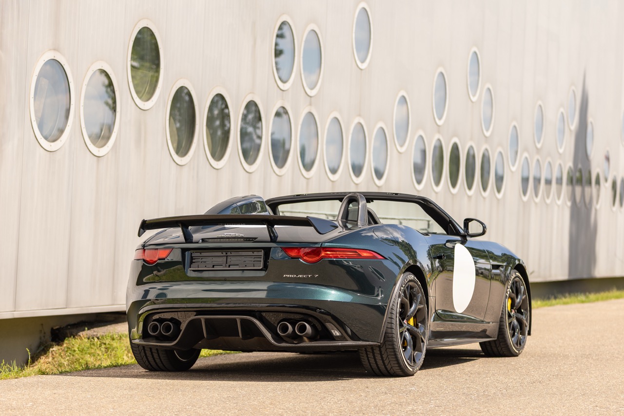 Jaguar Bild 7