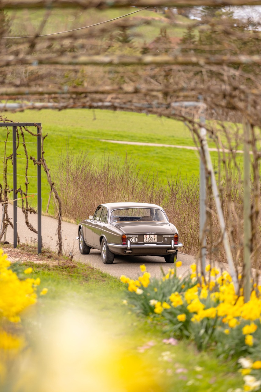 Jaguar XJ6 11
