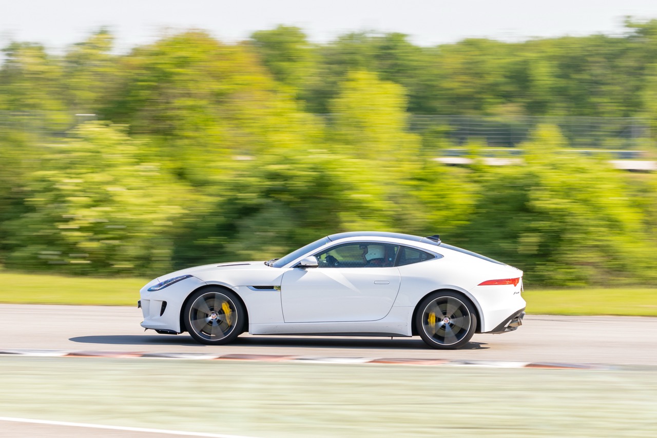 Jaguar Bild 2