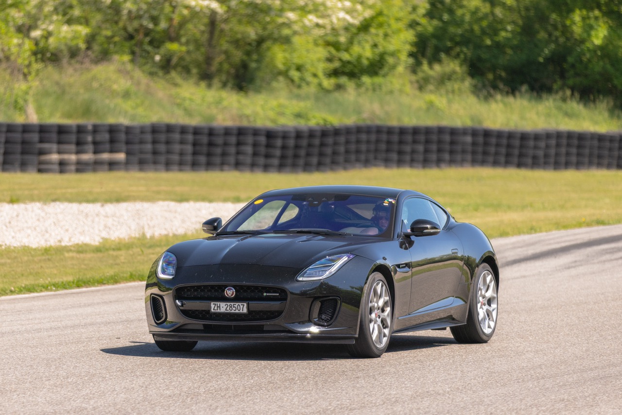 Jaguar Bild 12