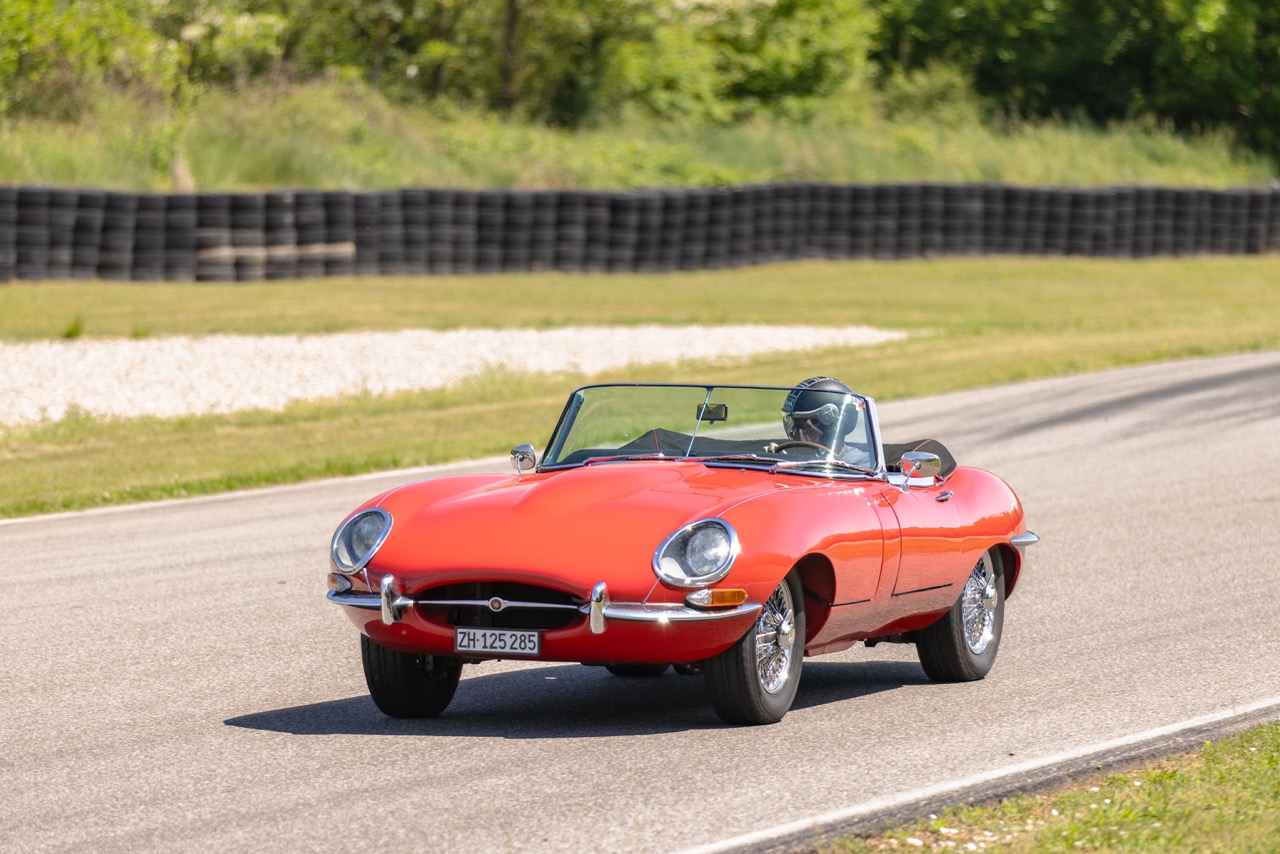 Jaguar Bild 14
