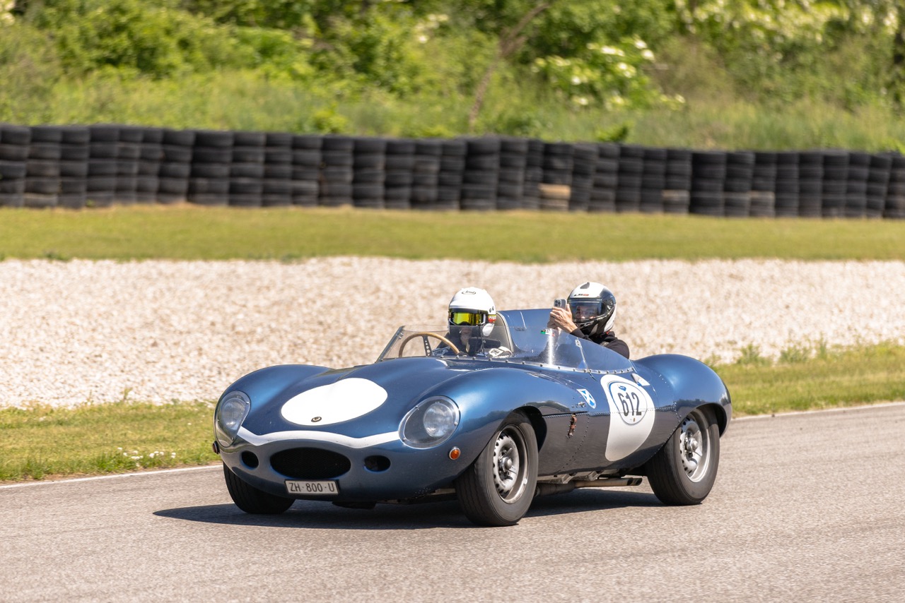 Jaguar Bild 16