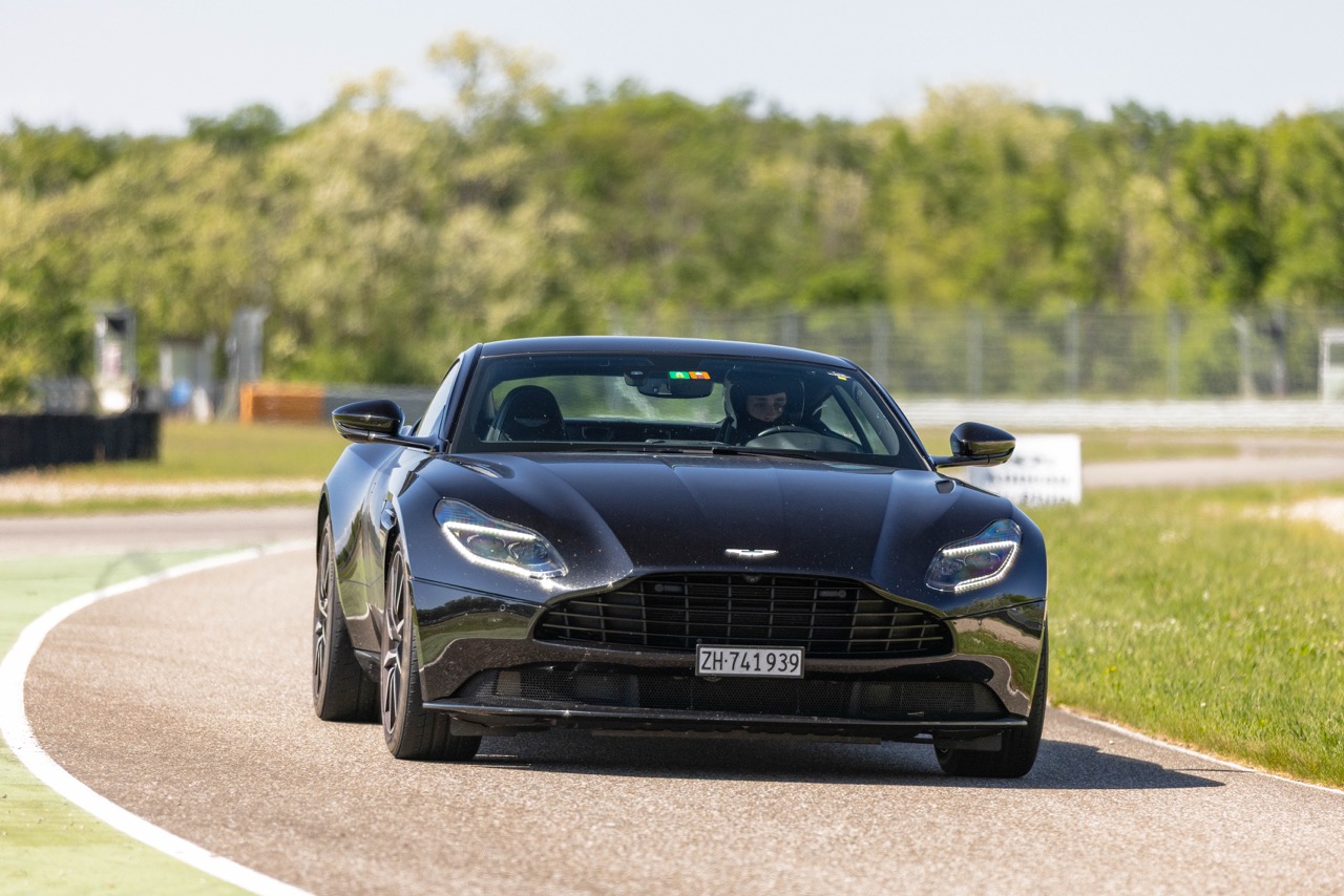 Jaguar Bild 19