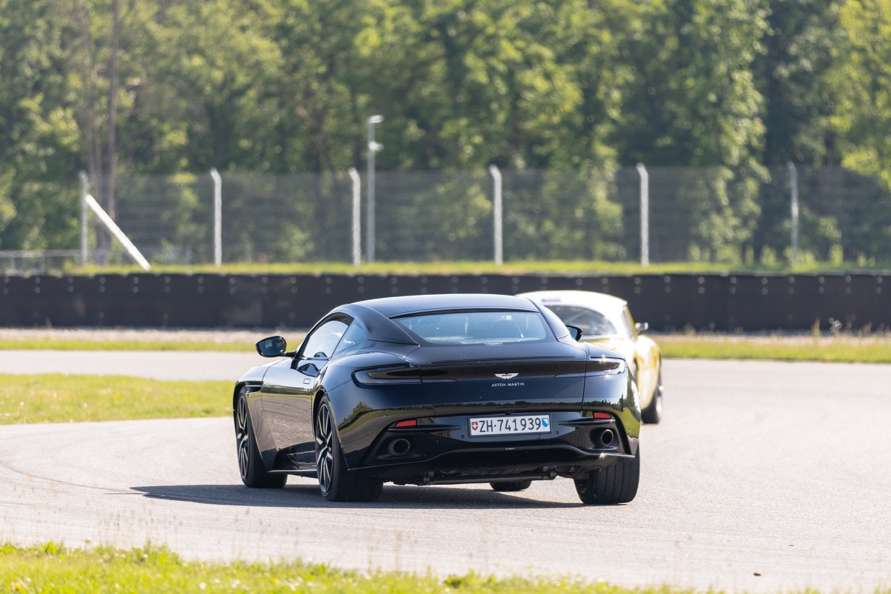 Jaguar Bild 4