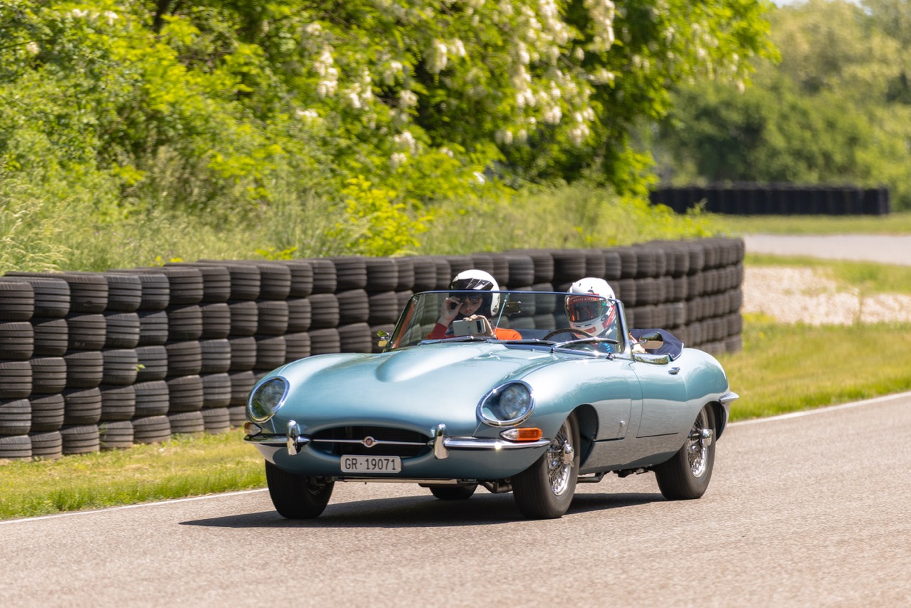 Jaguar Bild 6