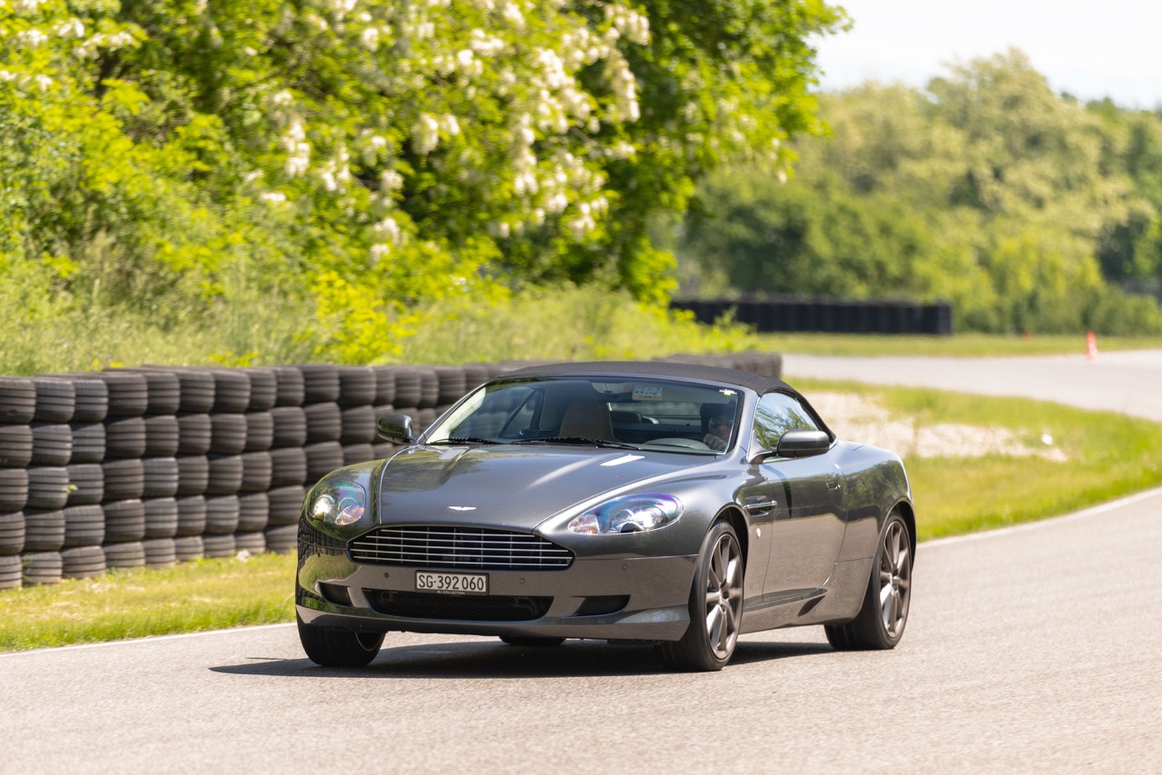 Jaguar Bild 7