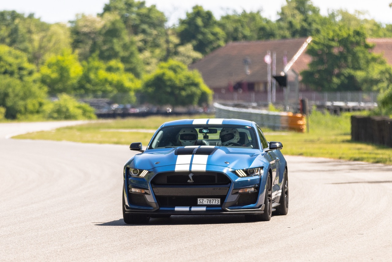 Jaguar Bild 8