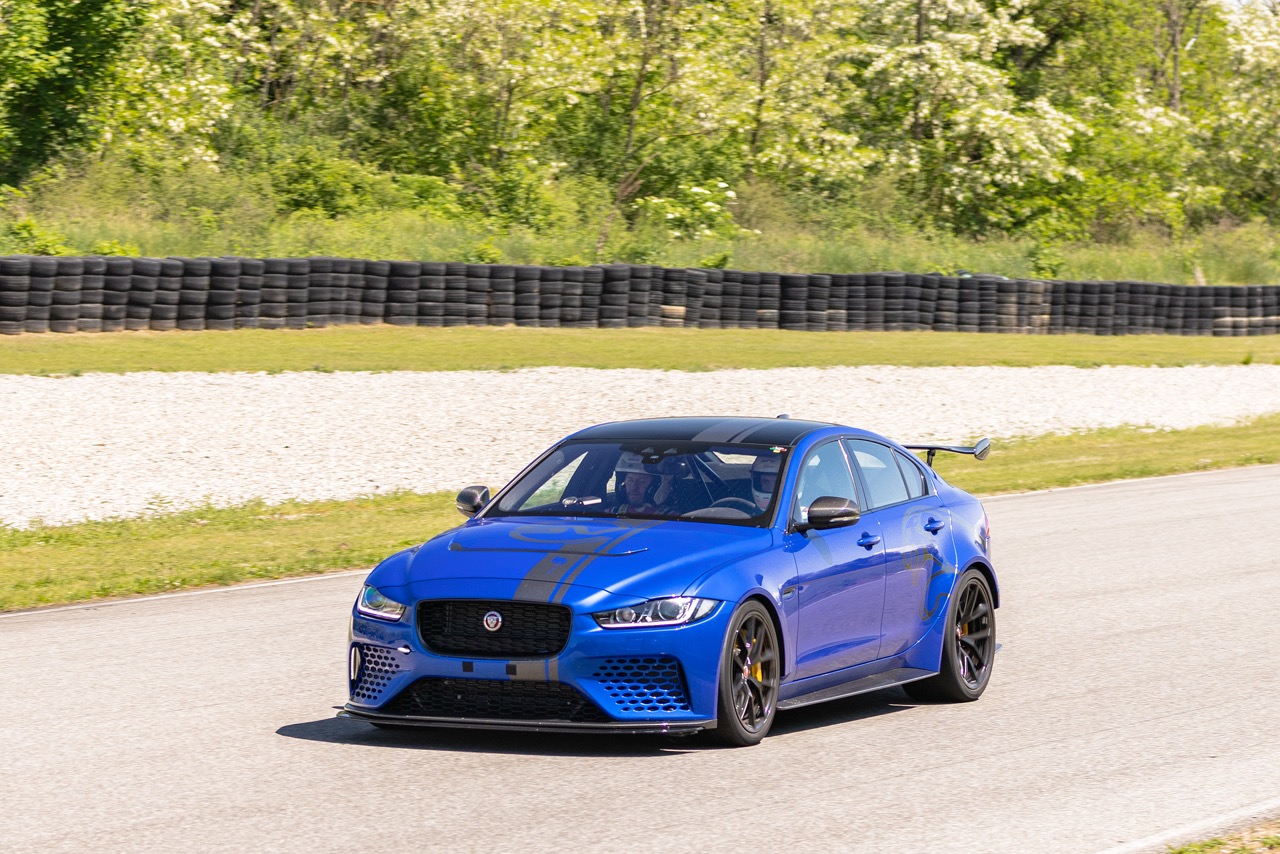 Jaguar Bild 9